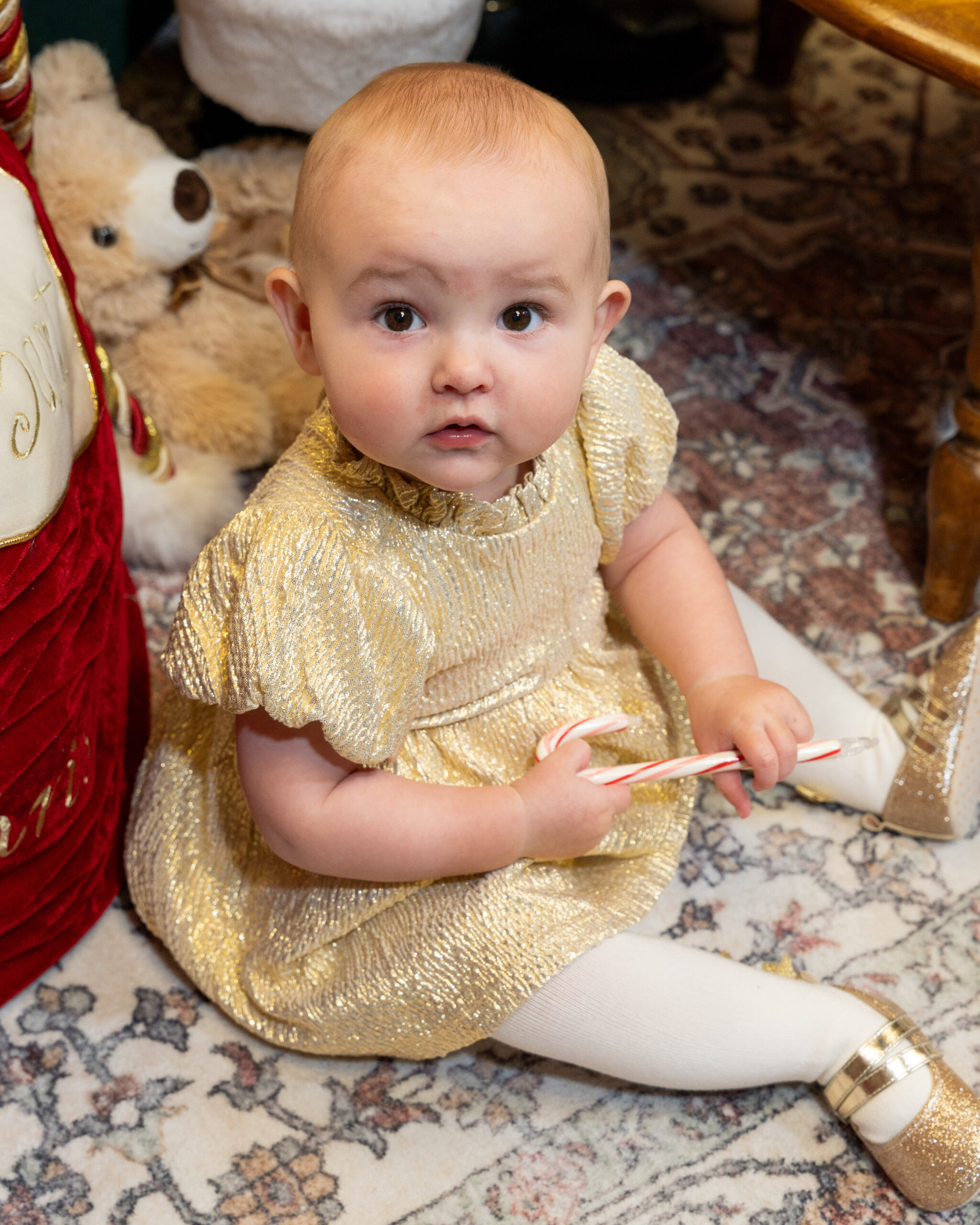 Kansas City Santa photos-41